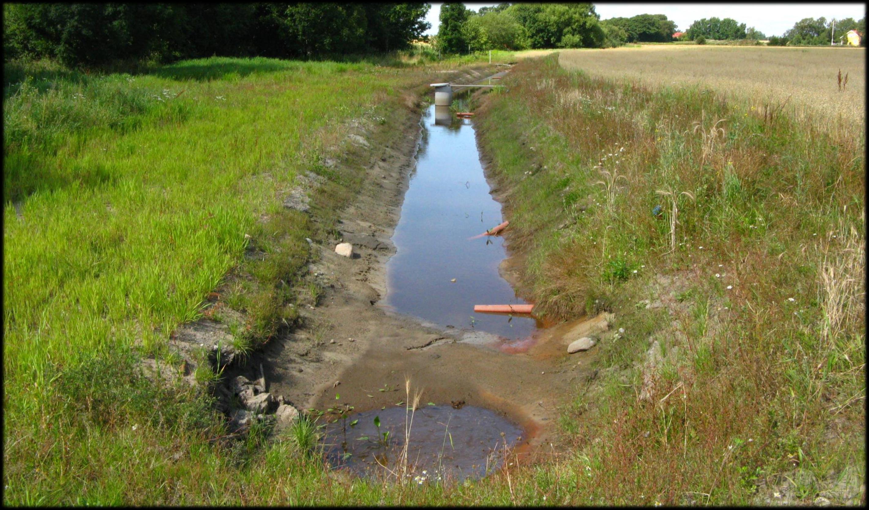 Low water level August 2012.