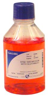 Tuberculosis complex M tuberculosis M africanum M bovis BCG vaccine-strains M bovis danish substrain M bovis glaxo substrain M bovis gothenburg substrain M bovis montreal substrain M bovis moreau