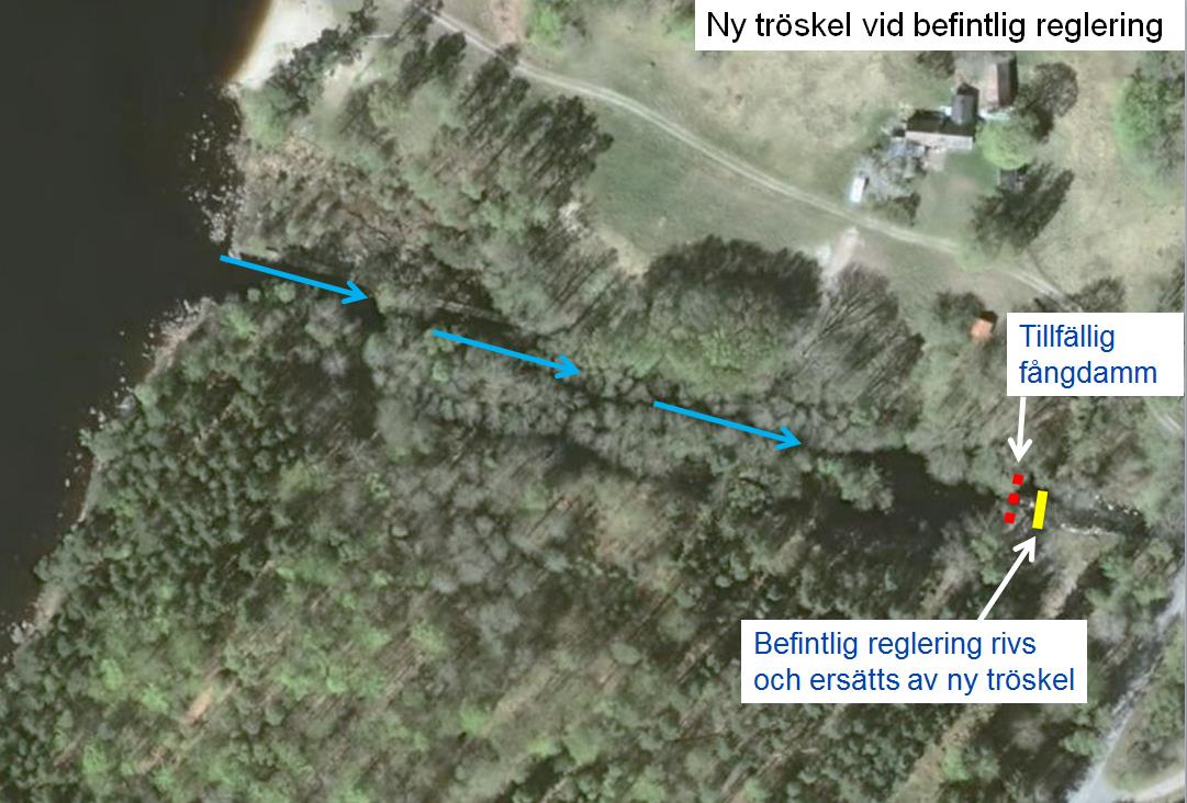 14 (34) Figur 7 Sektion för nytt utlopp vid Immeln Två alternativa lägen för tröskeln har utretts, det s.k. utskovsalternativet respektive sjöalternativet, se Figur 8 respektive Figur 9.