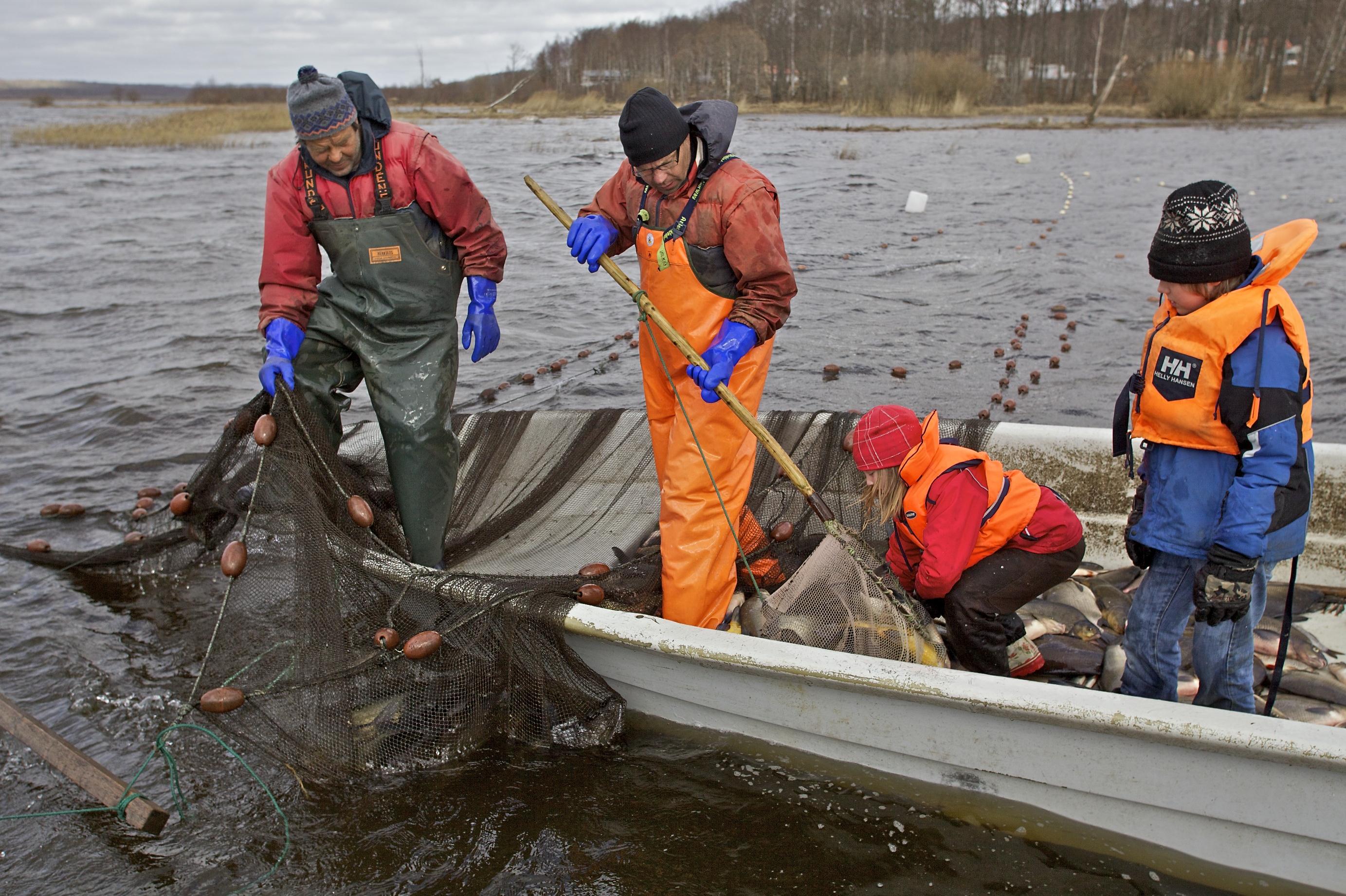 Filosofi: Aktiv fisk tas med passiva redskap