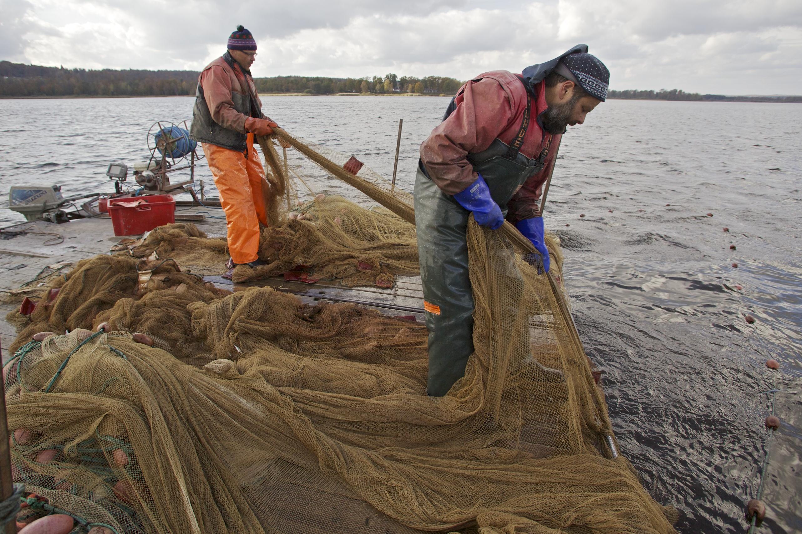 Filosofi: Passiv fisk tas med aktiva redskap