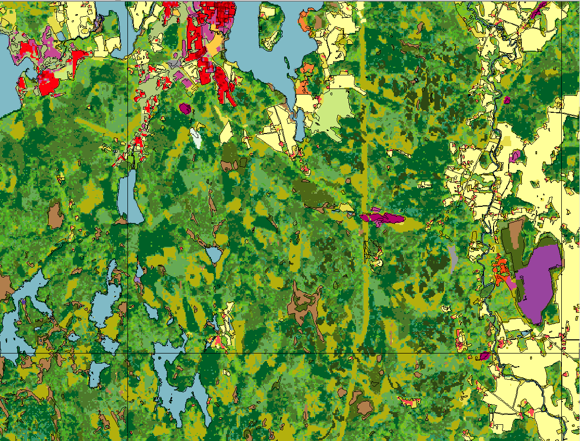 Figur 1. Utsnitt ur Svenska Marktäckedata raster överlagrad med begränsningslinjer från fastighetskartan.