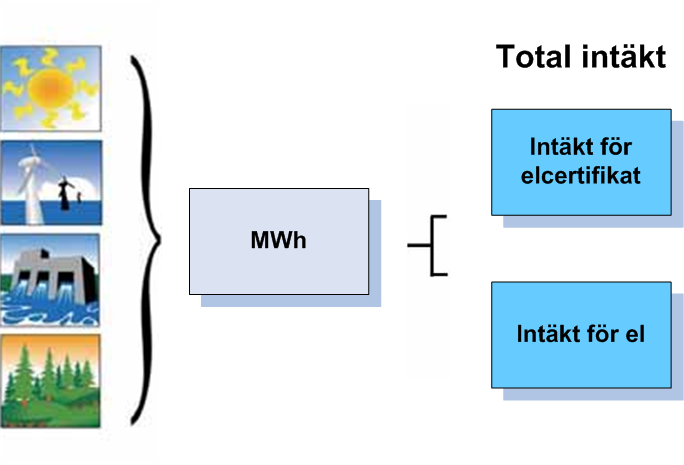 viss vattenkraft, vissa biobränslen, solenergi, geotermisk energi, vågenergi och torv i kraftvärmeverk.