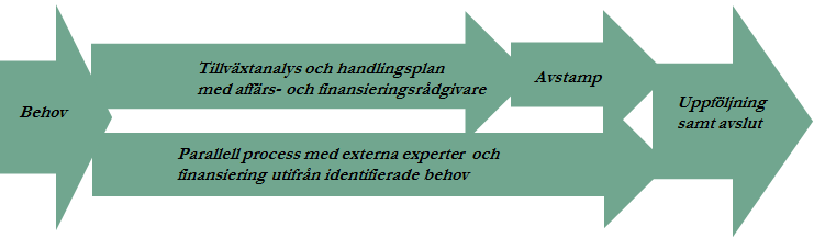 Almi Företagspartner AB Marie Ahlgren Sida 3 (5) 1.