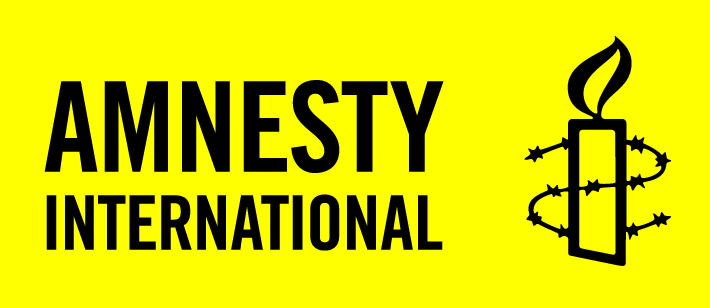 Amnesty Internationals Effektrapport 2013 Ideell förening Amnesty International, svenska sektionen Organisationsnummer 802004 0401 Vad vill er organisation uppnå?