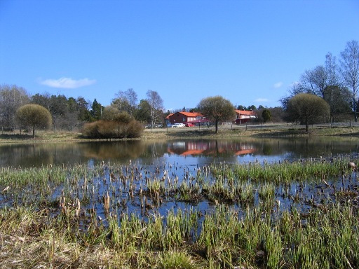 Dammen är inhägnad. I vattnet växer kaveldun, starr och lite salix. I dammen finns fisk och kräftor. Stränderna är flacka och lokalen är måttligt beskuggad.