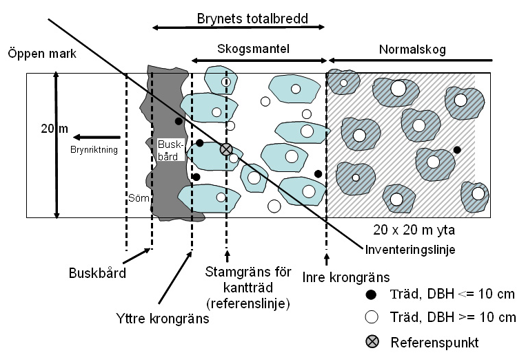 6.3 Skogskant ofta tätt, utdraget och relativt lågväxande. Buskbården är ofta lägre än 3 meter men kan undantagsvis vara över 5 meter hög. Ljusälskande arter som slån och rosor är vanliga.