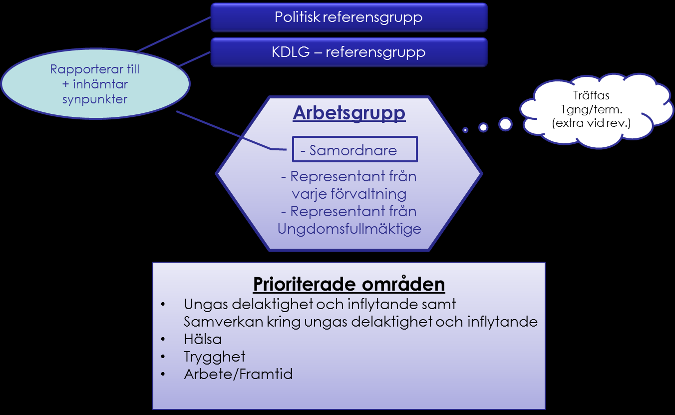 Ung i Uddevalla 2014-2017 7 (12) Dnr: Styrning och ledning av ungdomsarbetet Referensgrupper Förslag: Politisk grupp med representanter från alla nämnder, stiftelser och bolag.