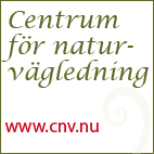 Drakstigen introduktion En naturstig skapad av Centrum för naturvägledning till Ute är inne-konferensen 2011 Stigen är gjord för bokskogen i Pildammsparken i Malmö, men kan anpassas till annan natur