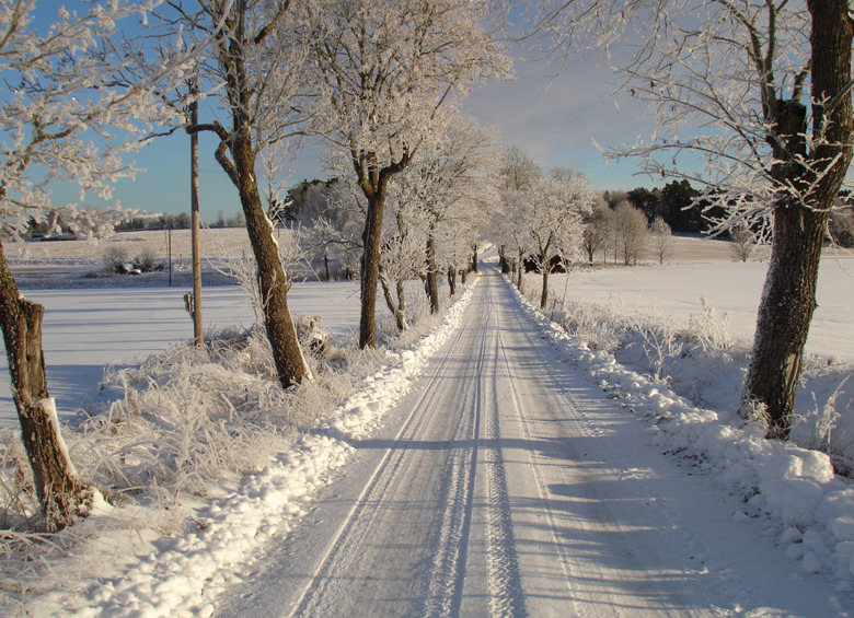 VERKSAMHETSPLAN 2011 NTF Sörmland