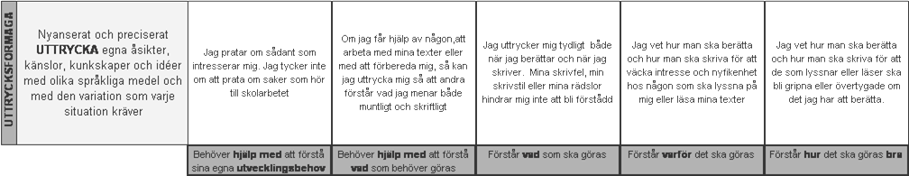 Exempel på en självskattningsmatris