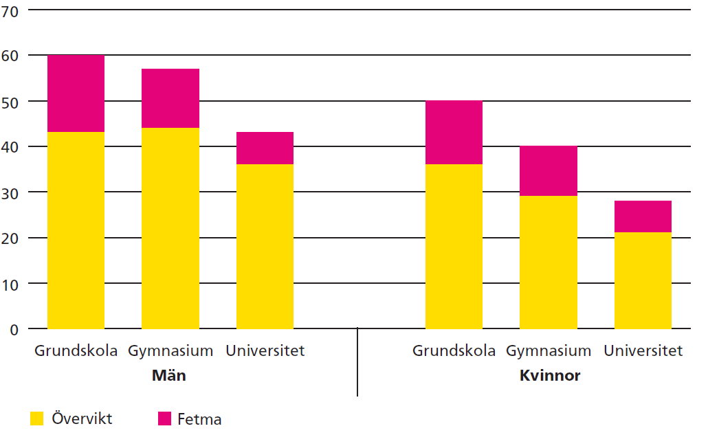 Andel vuxna (%) med övervikt eller fetma efter utbildningsnivå,