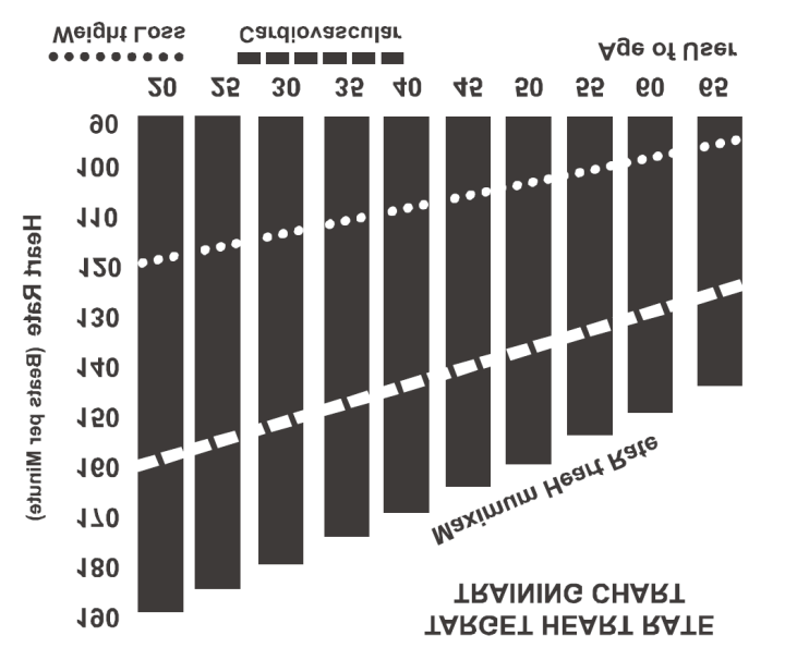 Hjärtrytmprogram Innan du bestämmer dig för vilken hjärtrytm som passar bäst för din träning, måste du ta reda på maxvärdet för din hjärtrytm.