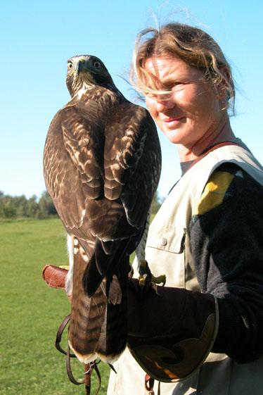 Efter besöket i rovfåglarnas fascinerande värld återvänder vi mot Köpenhamn och bron över till Skåne och vi beräknar att vara tillbaka i Lomma klockan 19:30. Pris/person: 765 kronor.