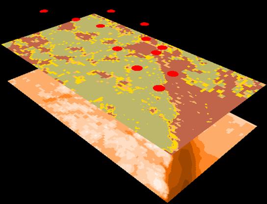 Respons Fältdata (observationer + miljö)