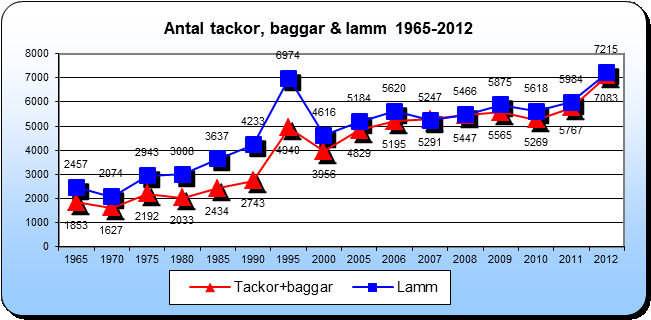 4.2 Antal får Antal får i Västmanland redovisas i figur 31 uppdelade på tackor (inkl baggar) samt lamm. Enligt figuren visar fårpopulationen en positiv trend sen mitten av 60-talet.