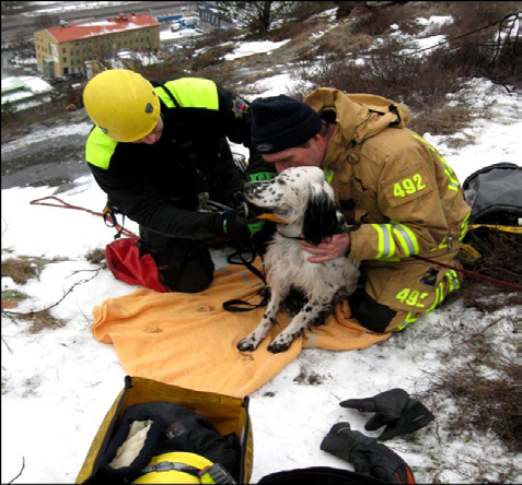 2. Olika typer av olyckor/ räddningsinsatser Här är några bilder från brandmannens vardag. DISKUTERA MED BARNEN PP bild 3 Livräddning i fastighet.