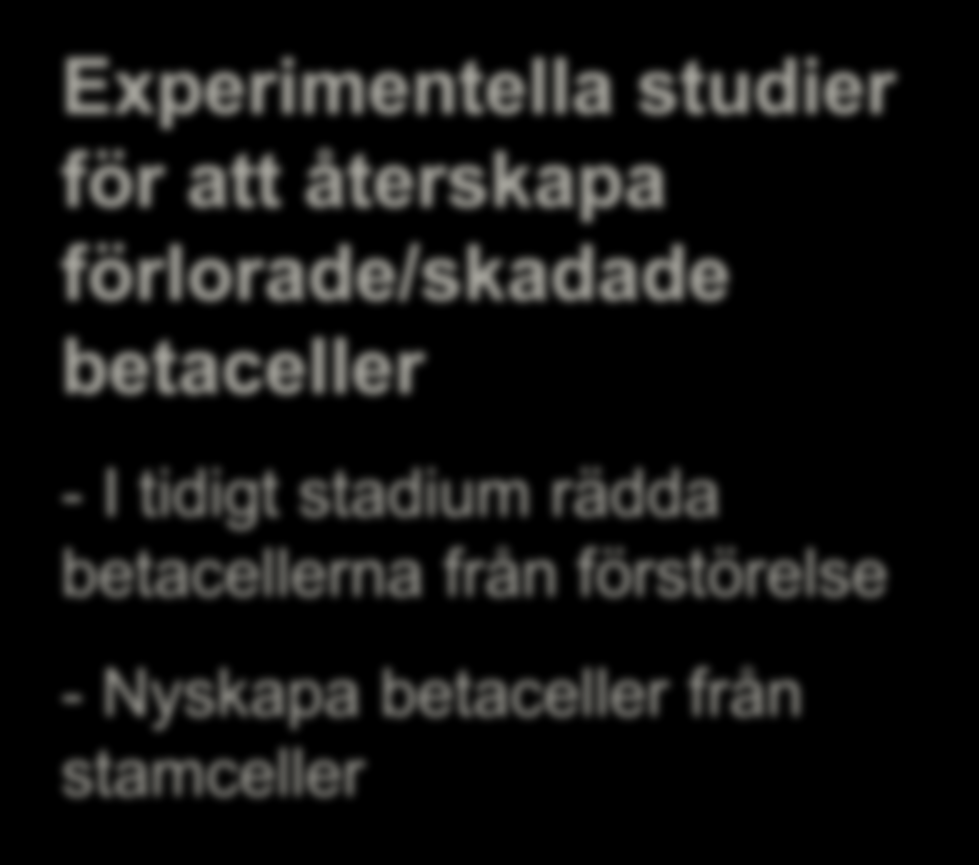 BETACELL REGENERATIV MEDICIN Experimentella studier för att återskapa förlorade/skadade