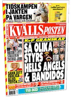 Hela Skåne Hela Skåne är ett annonssamarbete mellan Skånes viktigaste dagstidningar; Sydsvenskan, Kristianstadsbladet, Ystads Allehanda, Trelleborgs Allehanda, Helsingborgs Dagblad med editionerna