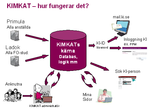 I det här dokumentet har vi samlat generell information, övergripande frågeställningar och diverse bra att ha.