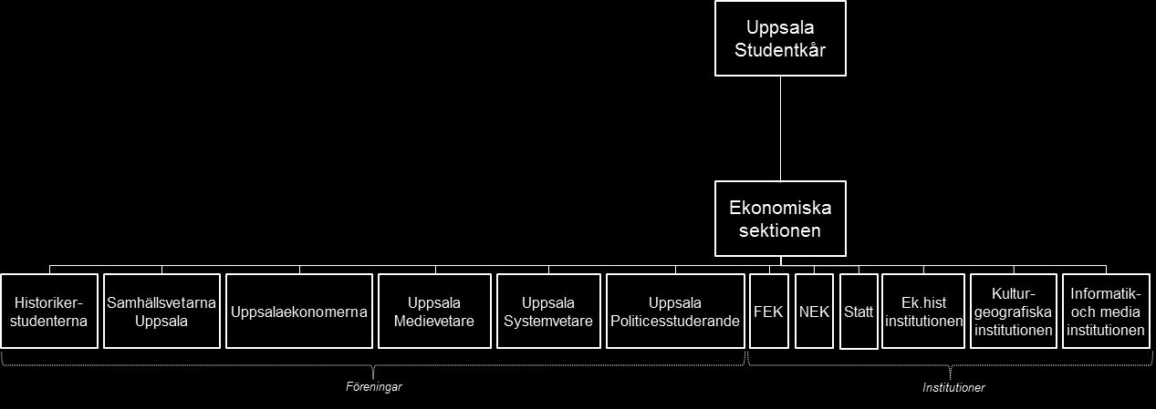 Ekonomiska sektionen Inom Ekonomiska sektionen sitter representanter från studentföreningar och studentrepresentanter från styrelser inom institutioner på Ekonomikum.