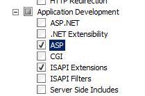 ASP och ISAPI under gruppen Application Development, ta inte bort några fördefinierade val.