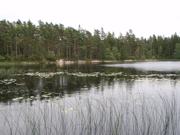 Sjöar och vattendrag 3 Utredningsområdet är rikt på små och medelstora sjöar. Flera av dessa omfattas av utökat strandskydd om 200 m och även sjöar med 100 m strandskydd finns.