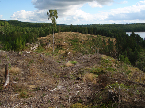 4 Mark och vatten Kapitlet beskriver de förutsättningar som råder i området kring Rödene med avseende på aspekterna markanvändning och naturresurser. 4.