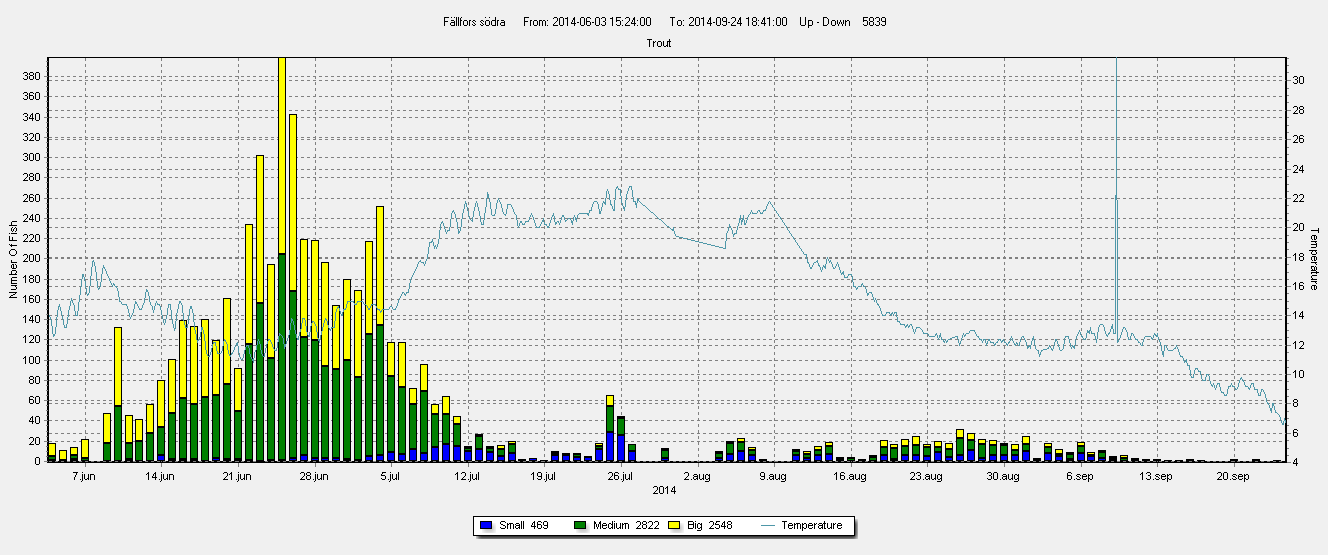 Uppvandringskontroll Byskeälven Diagrammet ovan anger den totala mängden uppvandrande fisk i den södra fiskvägen under perioden 140603-140924. Av dessa fiskar var 5787st laxar och 52st öringar.