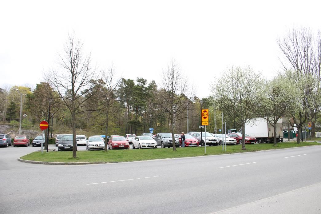 Bild 2. Snabbväxande poppel och oxel med dålig utveckling växer vid planerat ventilationsschakt.