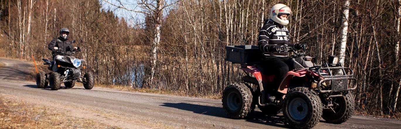 Projektets fortsättning Fokusgrupp med föräldrar Telefonintervjuer