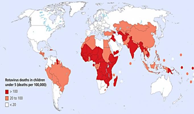 Bakgrund Rotavirus infektion är den globalt enskilt vanligaste etiologin till allvarlig gastroenterit hos barn Av 69 miljoner barn som dör under fem års ålder i