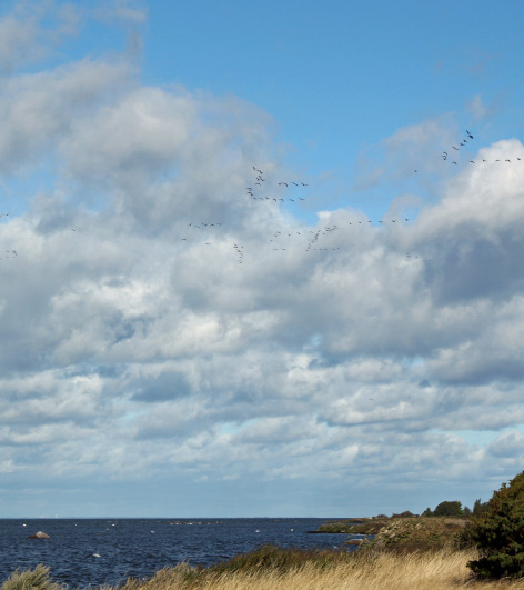 LUFTEN I KALMAR LÄN Information
