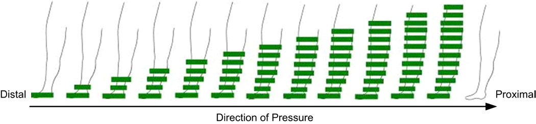 Cykelöversikt Preterapicykel Preterapicykeln är den första kompressionscykeln och den börjar centralt. Dränaget i denna kompressionscykel börjar således med de områden som ligger närmast bålen.