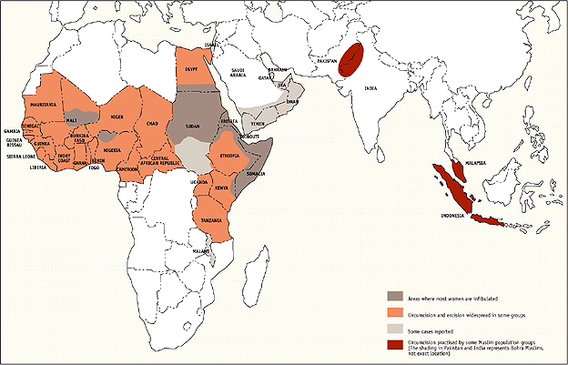 >140 miljoner flickor & kvinnor lever med KKS Dark grey areas represent areas where most women are infibulated.