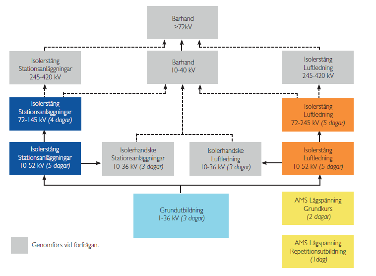 Figur 12: Utbildningsplan AMS, (STF2, 2011, s.20) Grundutbildningen är en tre dagars utbildning som kräver 90 procent rätt på skriftligt prov och väl genomförd praktik.