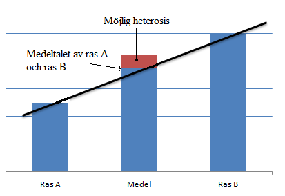 Tabell 1.