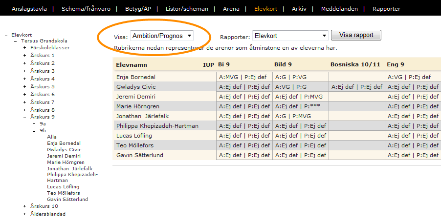 Elevkort Här kan lärare se alla elever som den är klassföreståndare/mentor för respektive kopplad till, eller alla elever på skolan, beroende på vilka inställningar skolan har valt att ha.