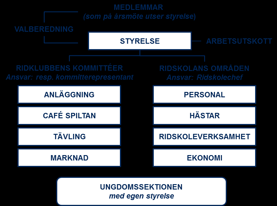 NTRKs verksamhetsidé NTRK ska vara en framgångsrik förebild för alla inom ridsporten.