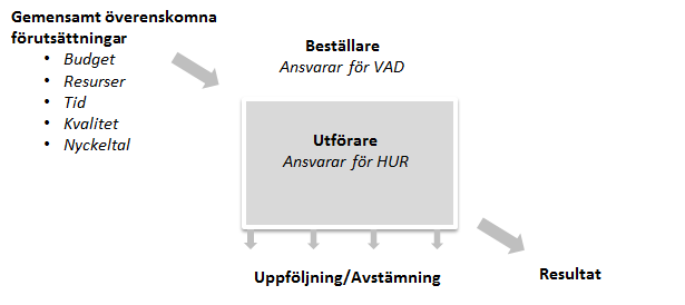 4.1 Ansvarsfördelning För att möjliggöra en leverans som beställaren är nöjd med krävs en tydlig genomgång av vilka förväntningar som finns hos beställande förvaltning/enhet samt vilken möjlighet