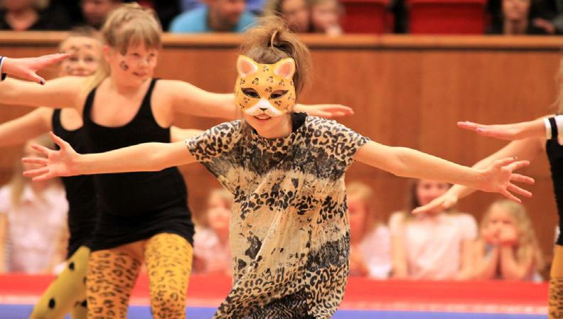 Våra gymnaster tävlar flitigt och regionen har gymnaster på Steg 1-6 på Svenska stegserierna.