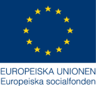 13(13) Kontaktpersoner Vilka personer kan den som är intresserad av ytterligare information kontakta?