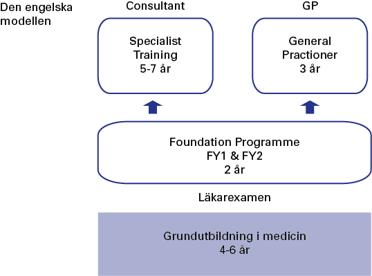 riktlinjer för universiteten i hur läkarutbildningen bör vara uppbyggd i termer av undervisning, lärande och examination.