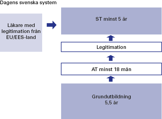 2. FRÅN MEDICINSTUDENT TILL LEGITIMERAD LÄKARE I DAG 2.