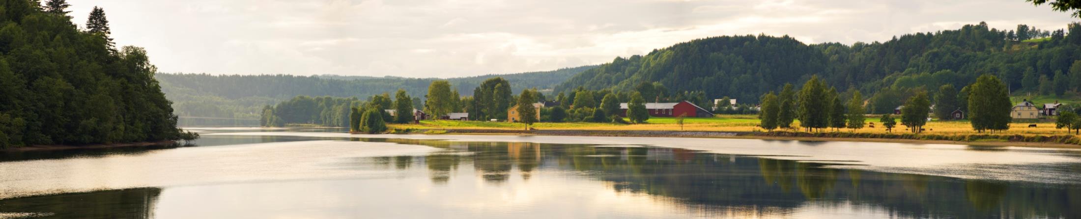 Reselebygden Reseles företagare Resele IF