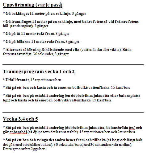 landningsproblem delades 10 poäng ut och vid balanseringsproblem delades 3 poäng ut.