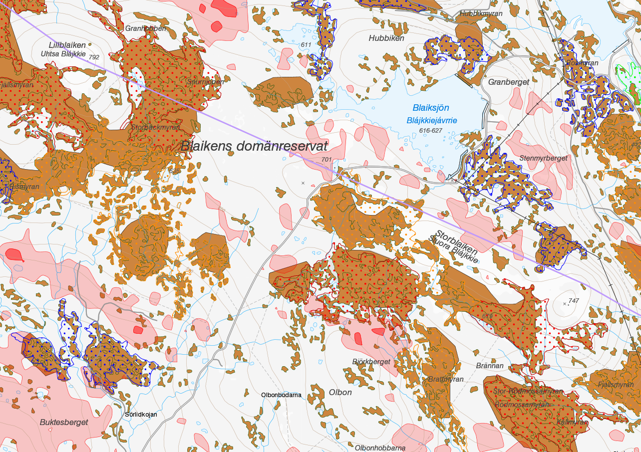 Webbkartografi för SGUs