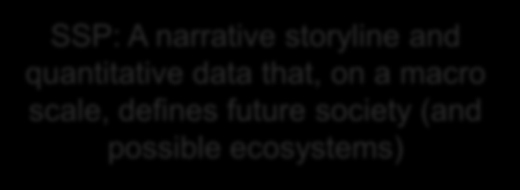 The Scenario Matrix Architecture SSP: A narrative storyline and quantitative data that, on a macro scale, defines