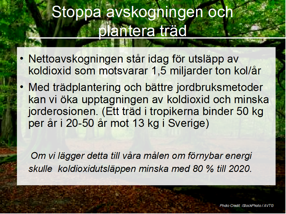 2. Stoppa nettoavskogningen och plantera träd Om