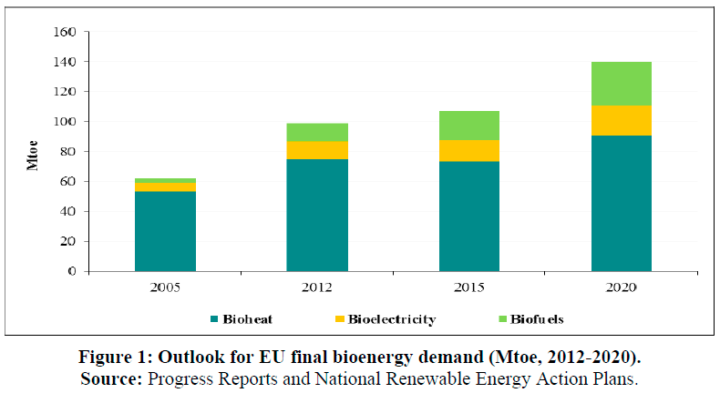 Potentialbedömningar Beroende på antagande och förutsättningar varierar bedömningar om biobränslepotential.